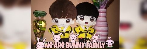 bny_indo's profile banner image