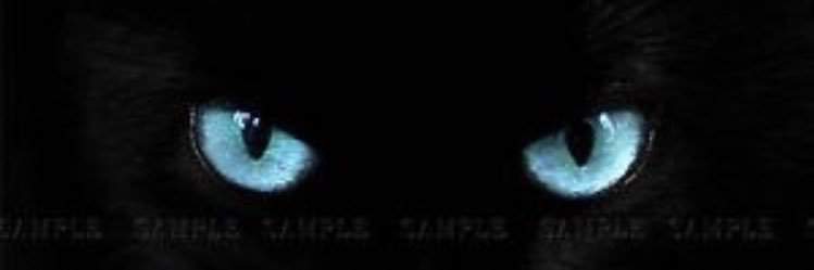 Learn2Fly_FF's profile banner image