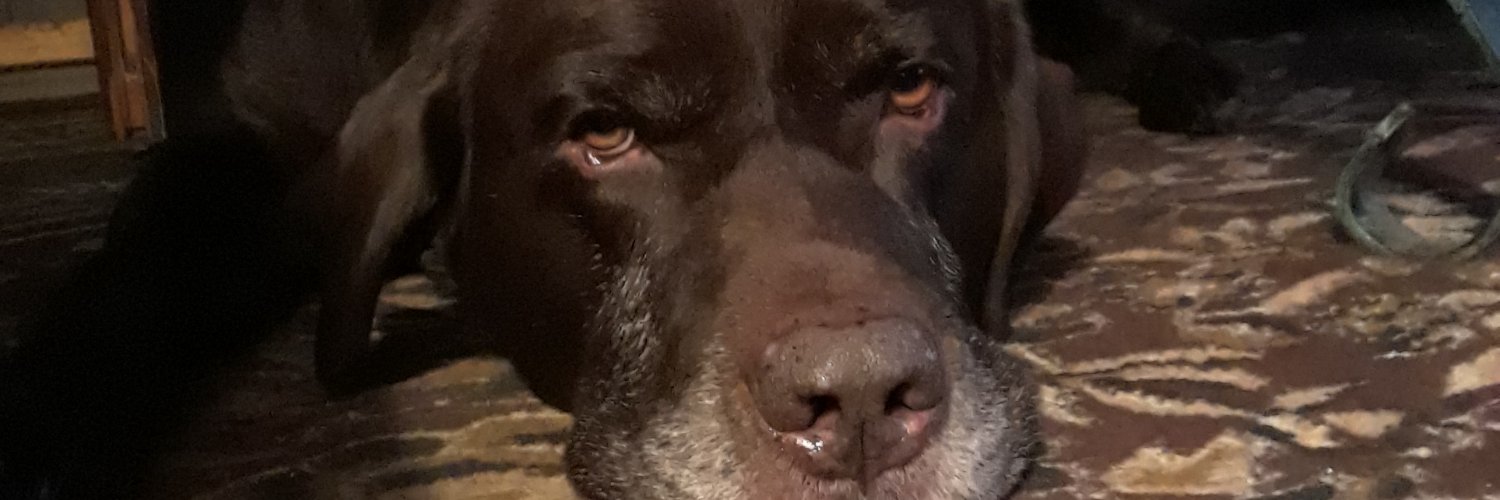 SharikCj's profile banner image