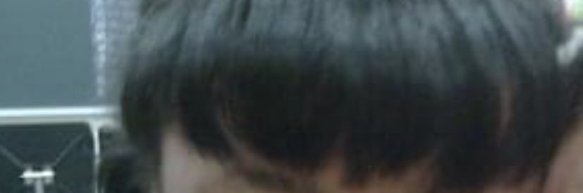peterturchinfan's profile banner image