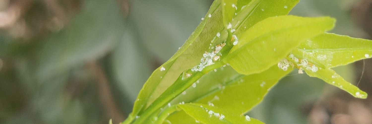 Horticzone's profile banner image