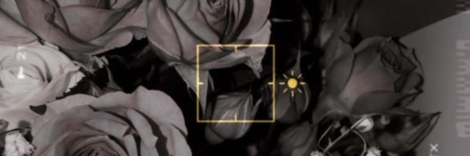 hxox2000's profile banner image