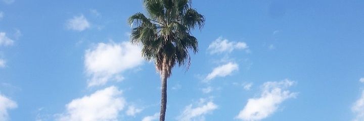 aixabarrio's profile banner image