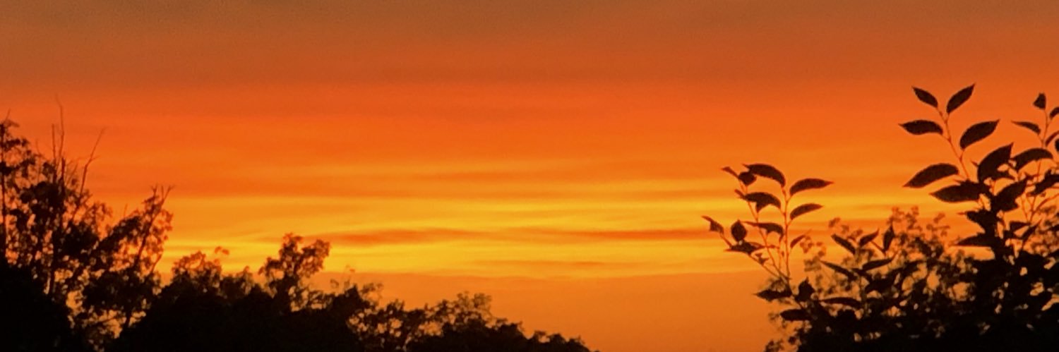 TonyPousosa's profile banner image