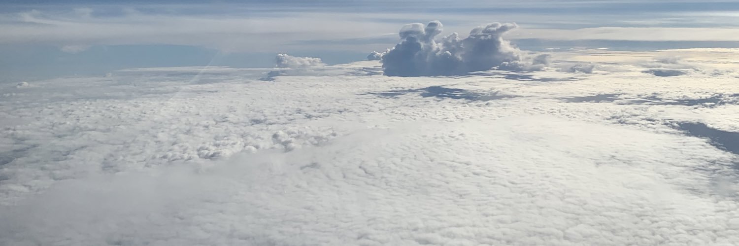 LilyMays9's profile banner image