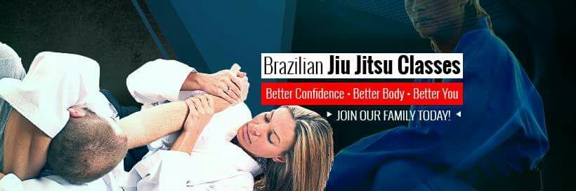 TopLevelMartialArts banner