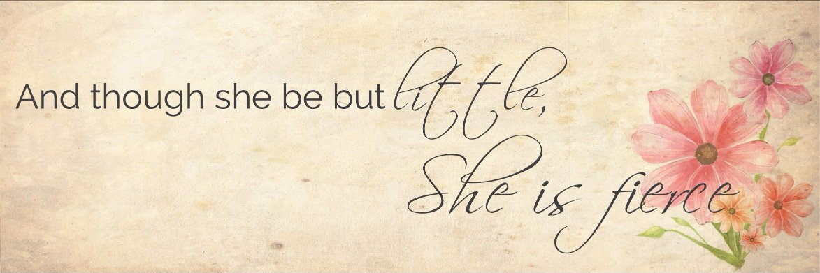 mslaurennichole's profile banner image
