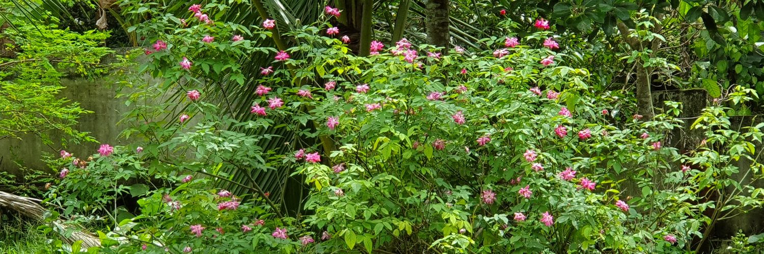premrahul's profile banner image