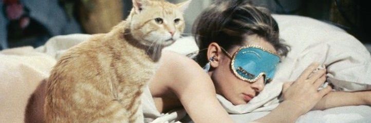 f2cdDMRGVBomgCM's profile banner image