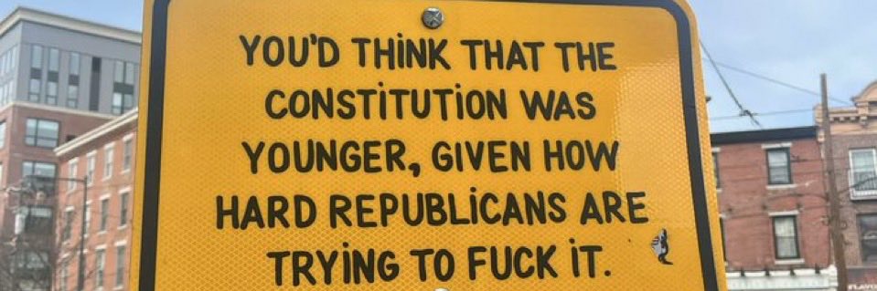 The Cat Knows -- Trump is a Traitor banner