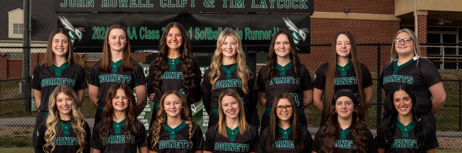 Carter Lady Hornet Softball banner