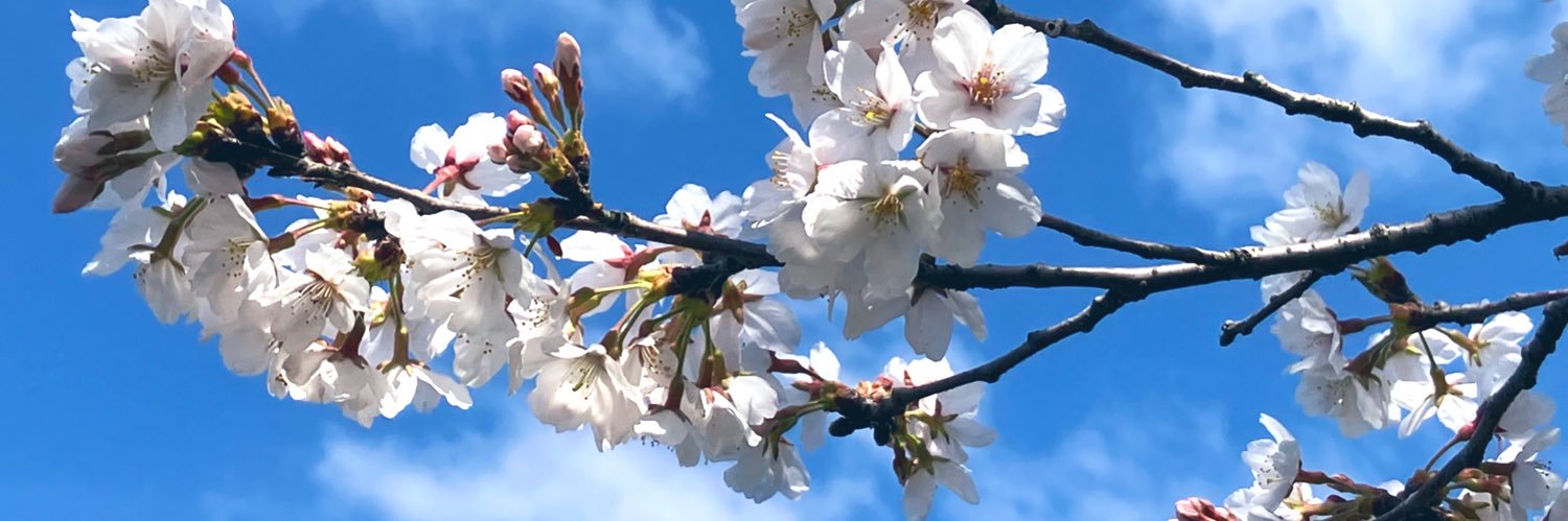 furusan_13's profile banner image