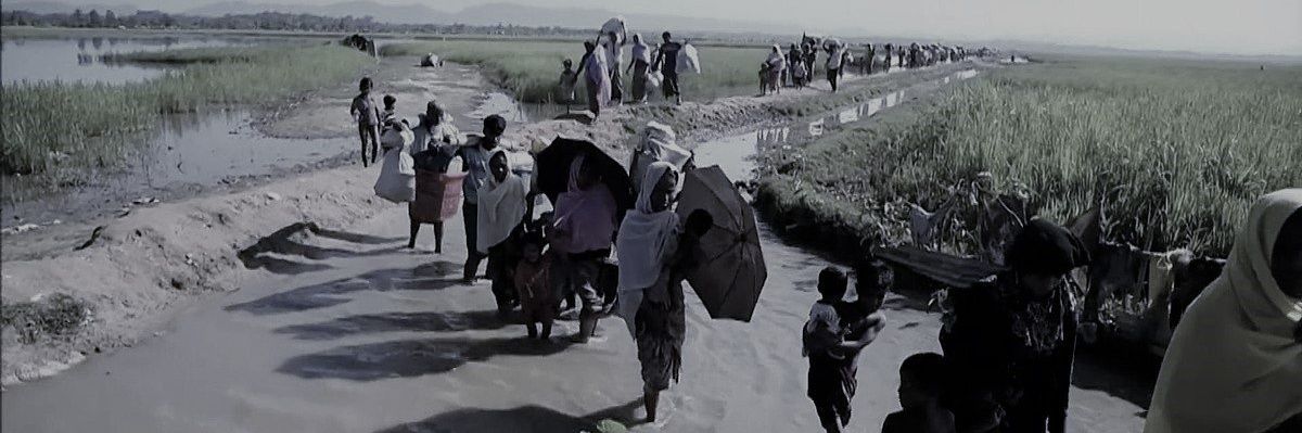 AllRohingyaNow's profile banner image