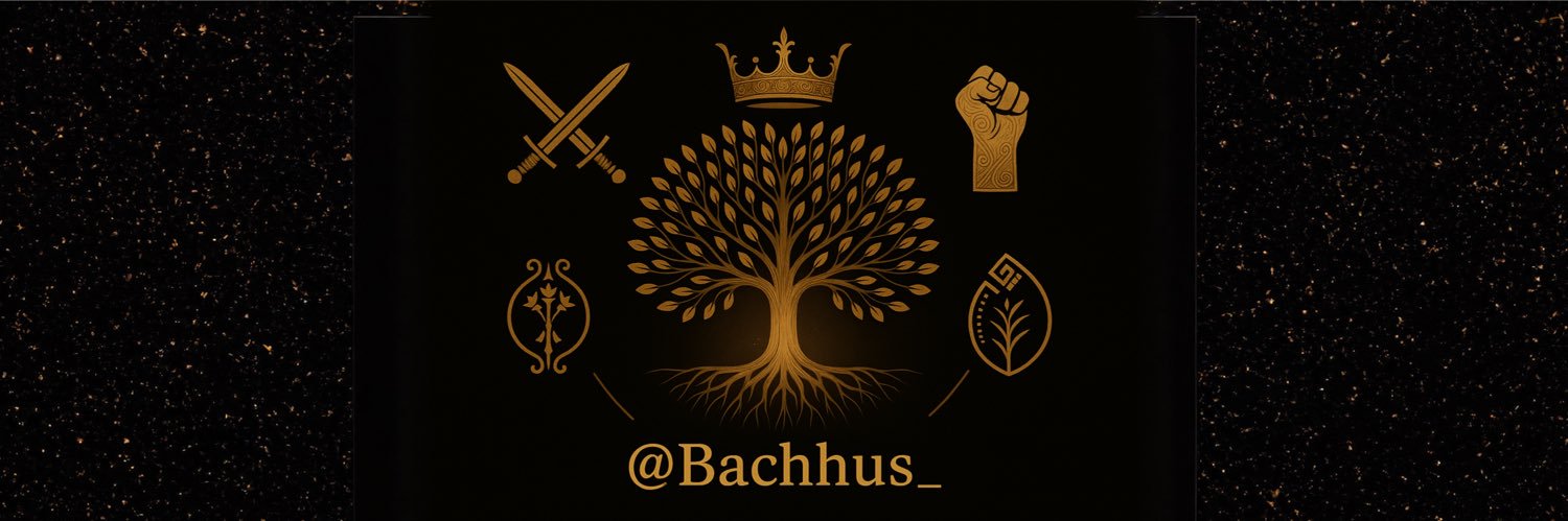 bachhus_'s profile banner image