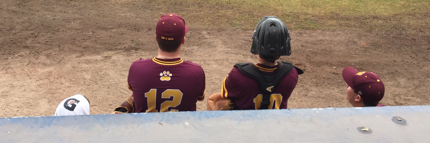 mitch_bau's profile banner image