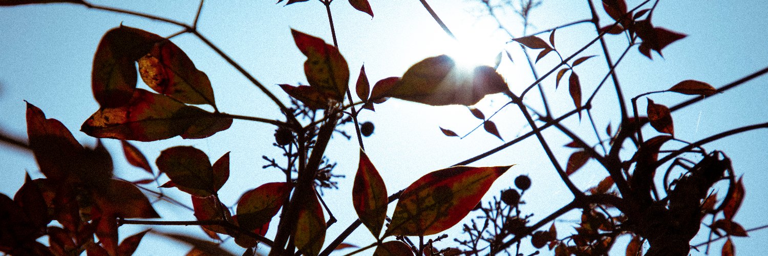 El_Afer's profile banner image