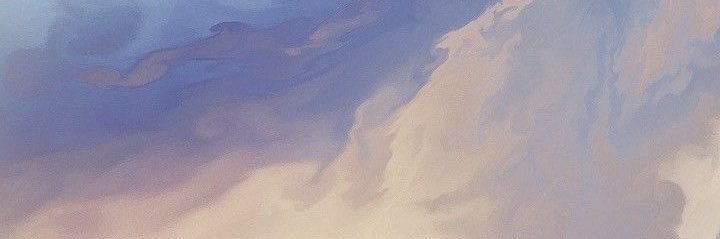 ditaprtm's profile banner image