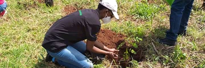 Irene Sebastian banner