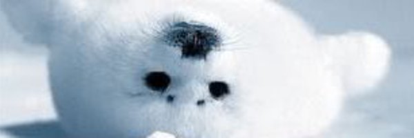 Snebzz Profile Banner