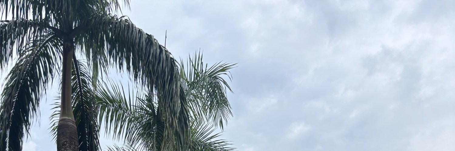 _SanJunipera_'s profile banner image