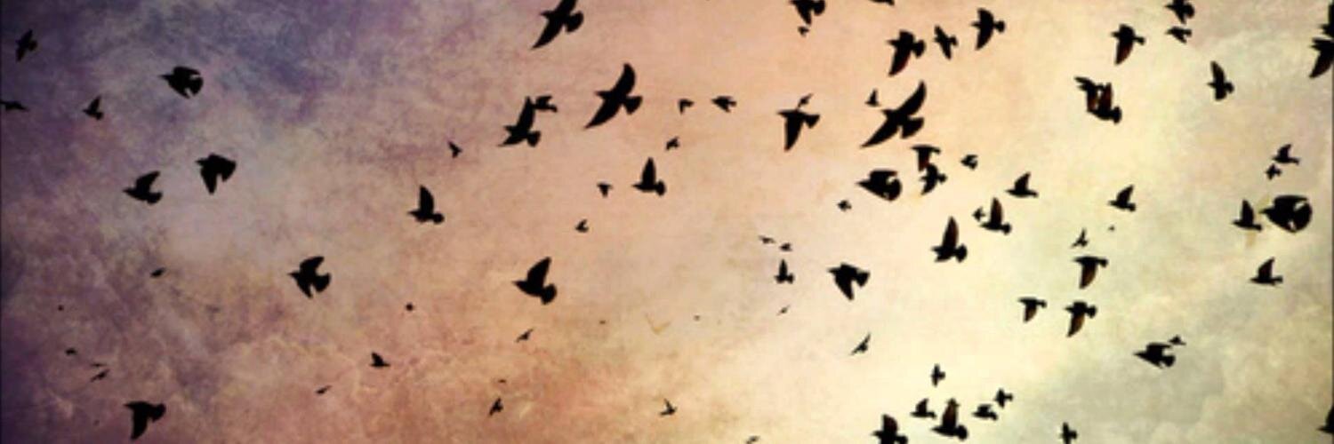 calistania's profile banner image