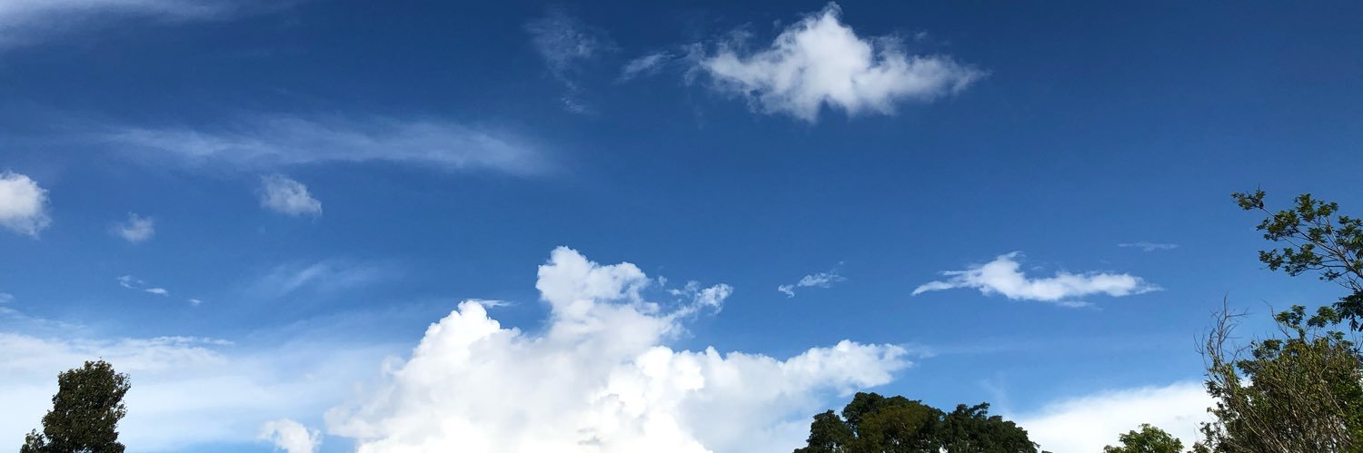 แมว'เหมียว' banner