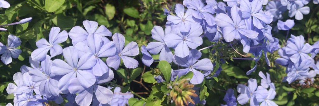 jlee_3's profile banner image