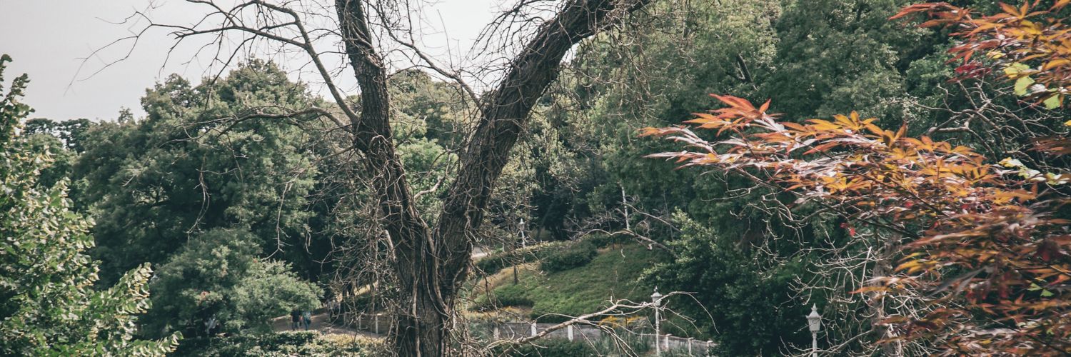 Yiğit Efe banner