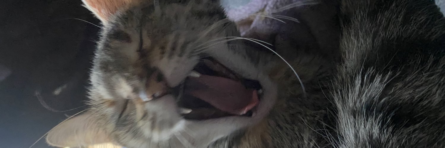 alexisrms_'s profile banner image