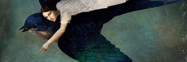 NgoloTesla Profile Banner