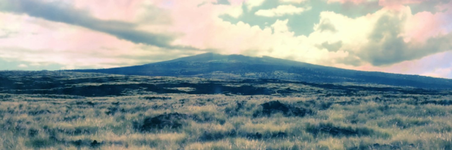 tana_40's profile banner image