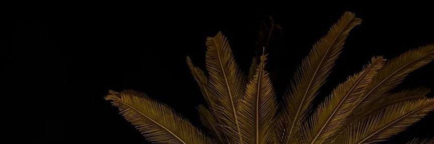 GorgWastel's profile banner image