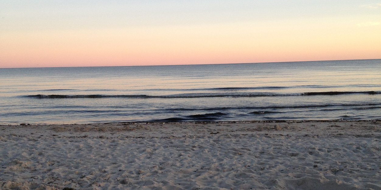 Dianne Kelly, Ed.D. banner