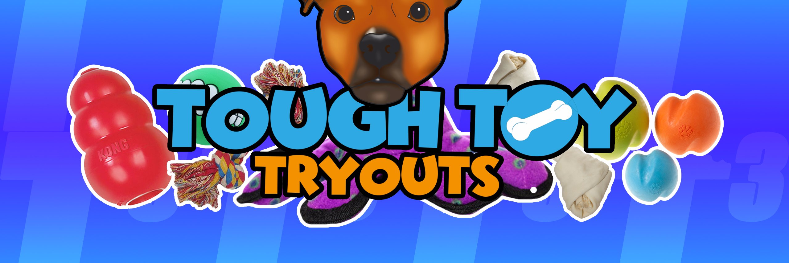 toughtoytryouts's profile banner image