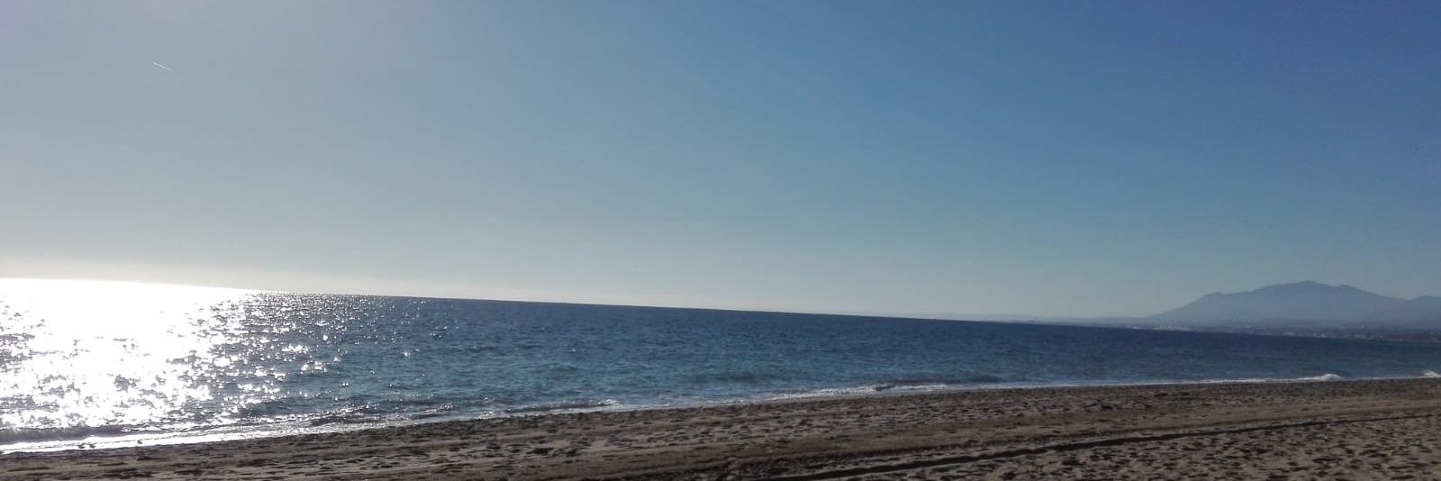 renfeMarbella's profile banner image