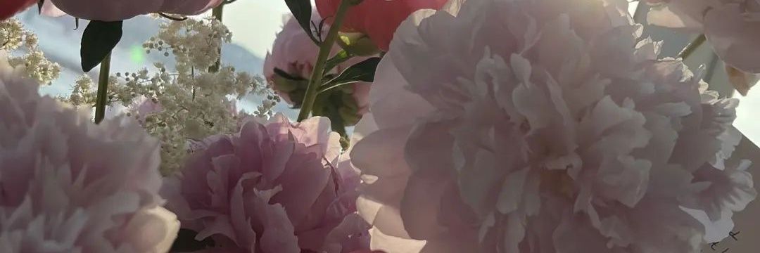 asniah_abdullah's profile banner image