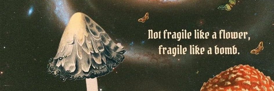 morgggz28's profile banner image