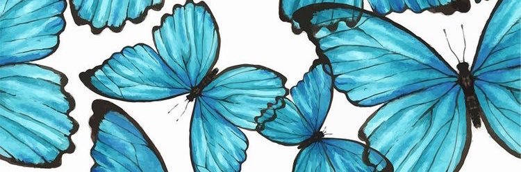 fella_addison's profile banner image