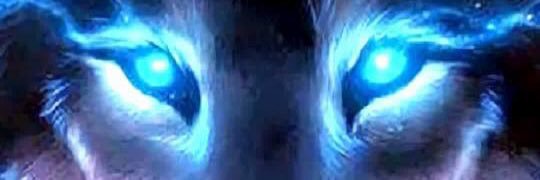 wolfleader12332's profile banner image