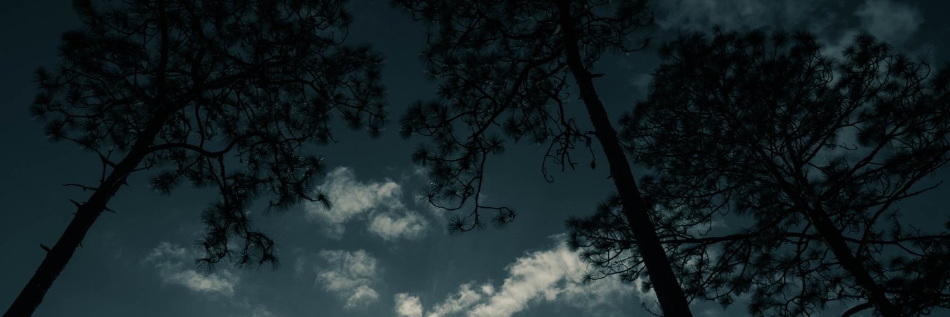 zack_stauffer's profile banner image