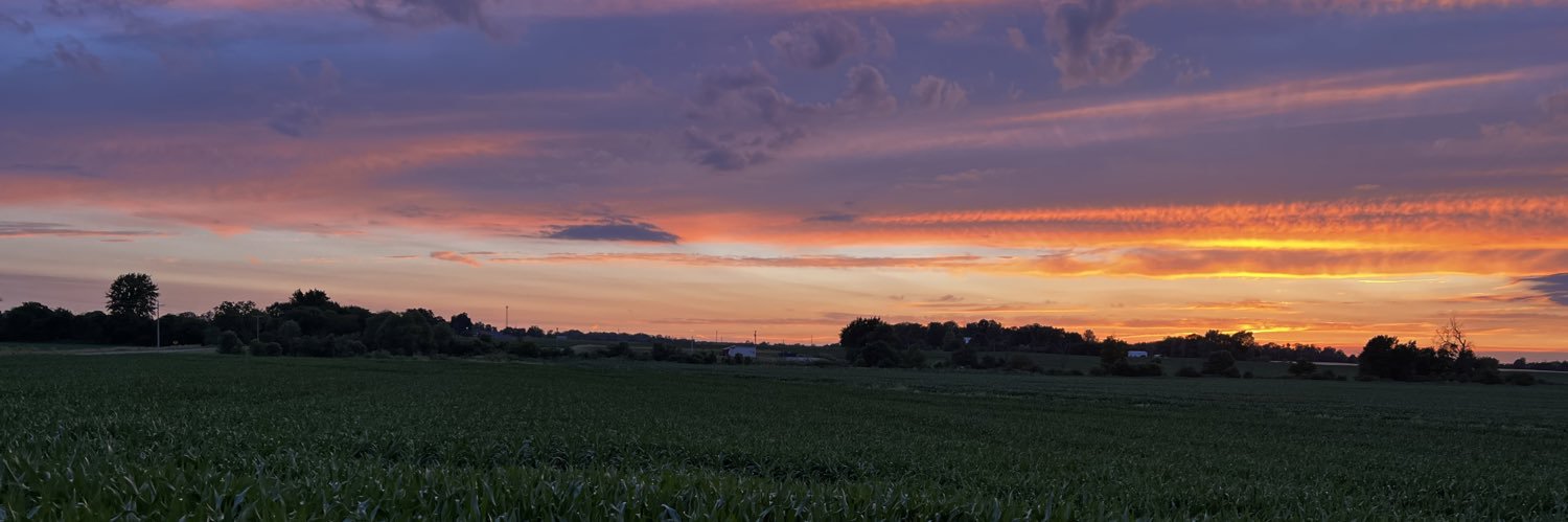 Ally Madden banner