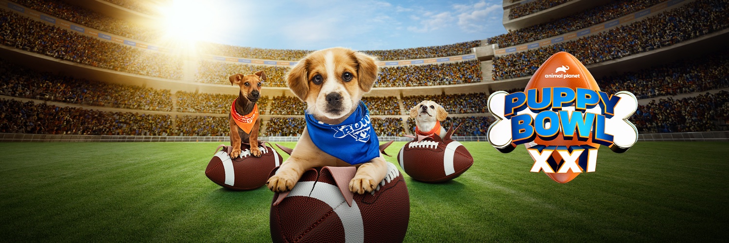 Animal Planet's banner
