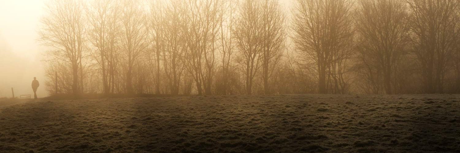 Malcolm Devlin banner