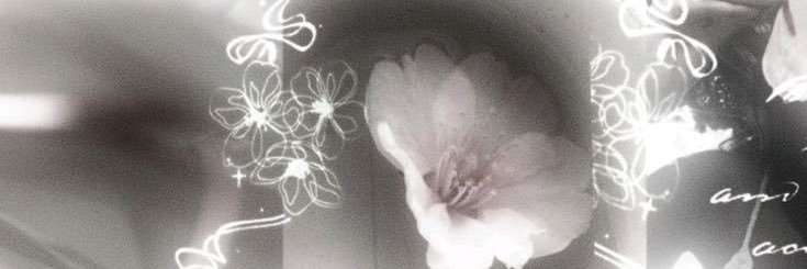 dollprty's profile banner image