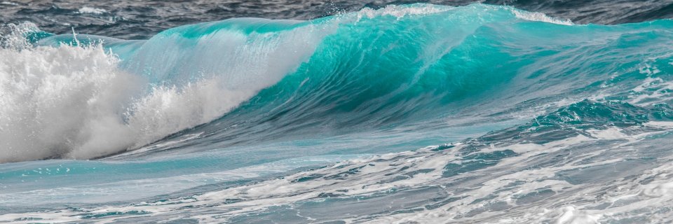 Alberto Troccoli banner