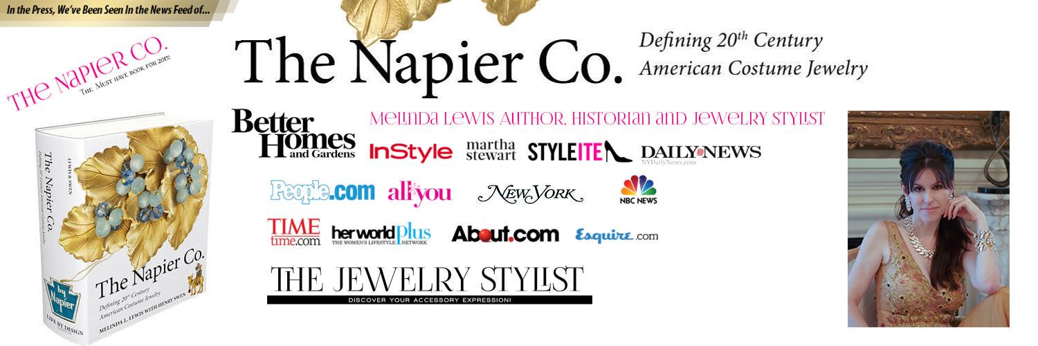 TheNapierBook's profile banner image