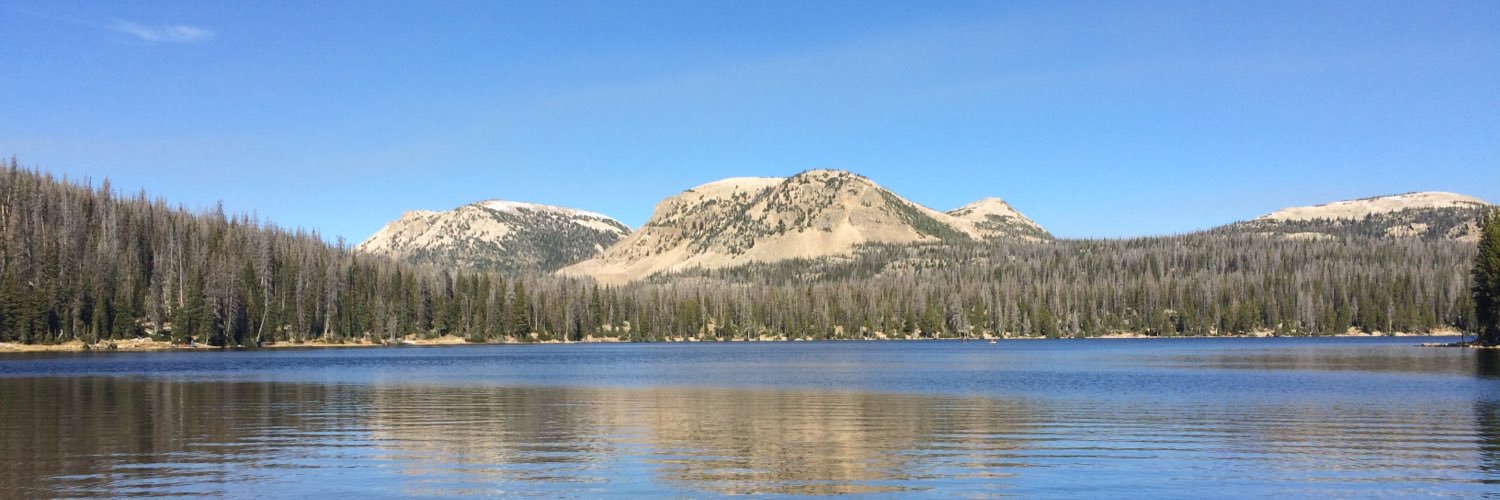 Wayne Arner banner