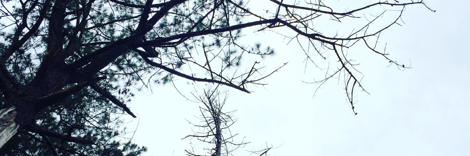 twinkleology's profile banner image