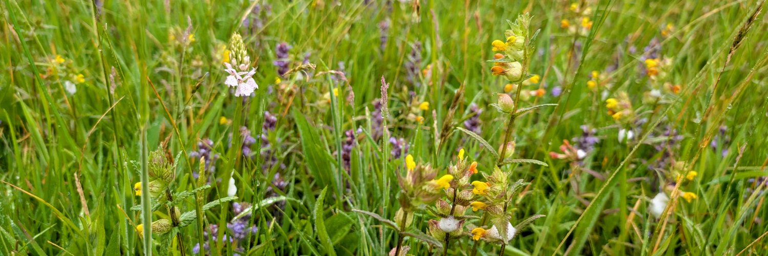Jim the Meadowman banner
