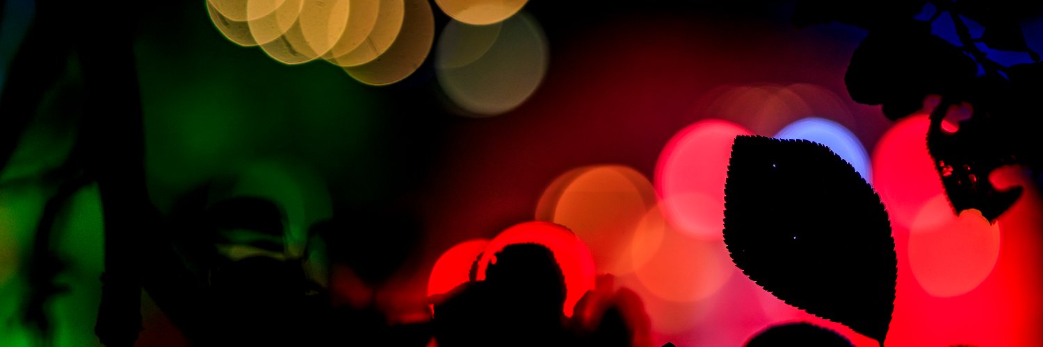 Steffen Geyer banner